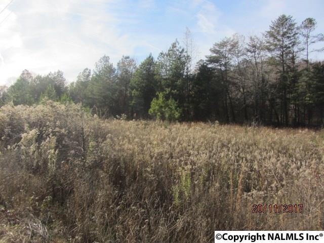 000 Dugout Valley Road - Photo 1