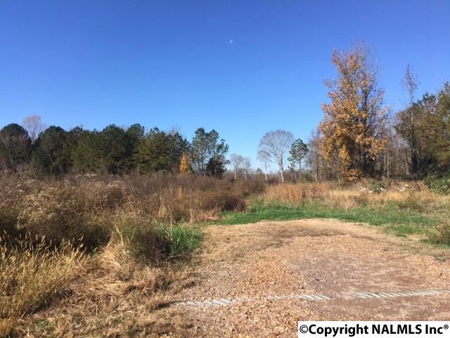 0 Pepper Farm Lane - Photo 1