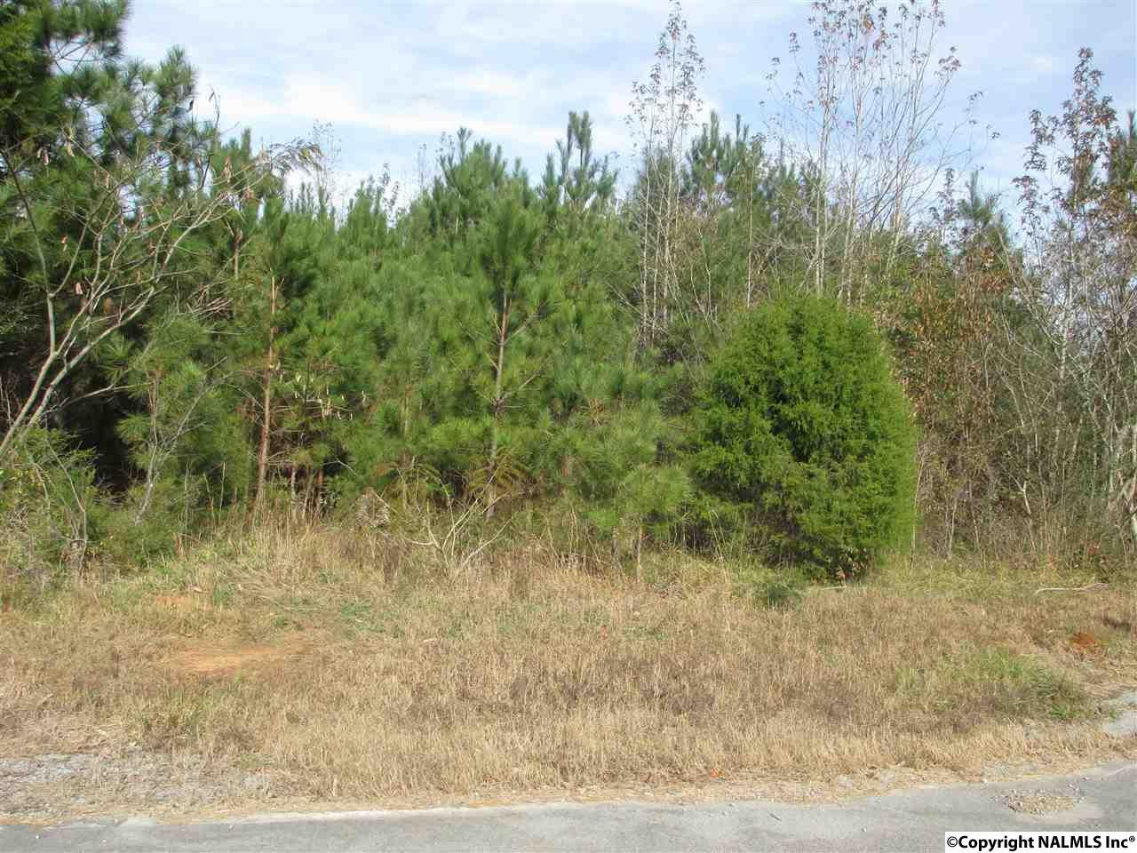 Parcel #3 Old Six Mile Road - Photo 1
