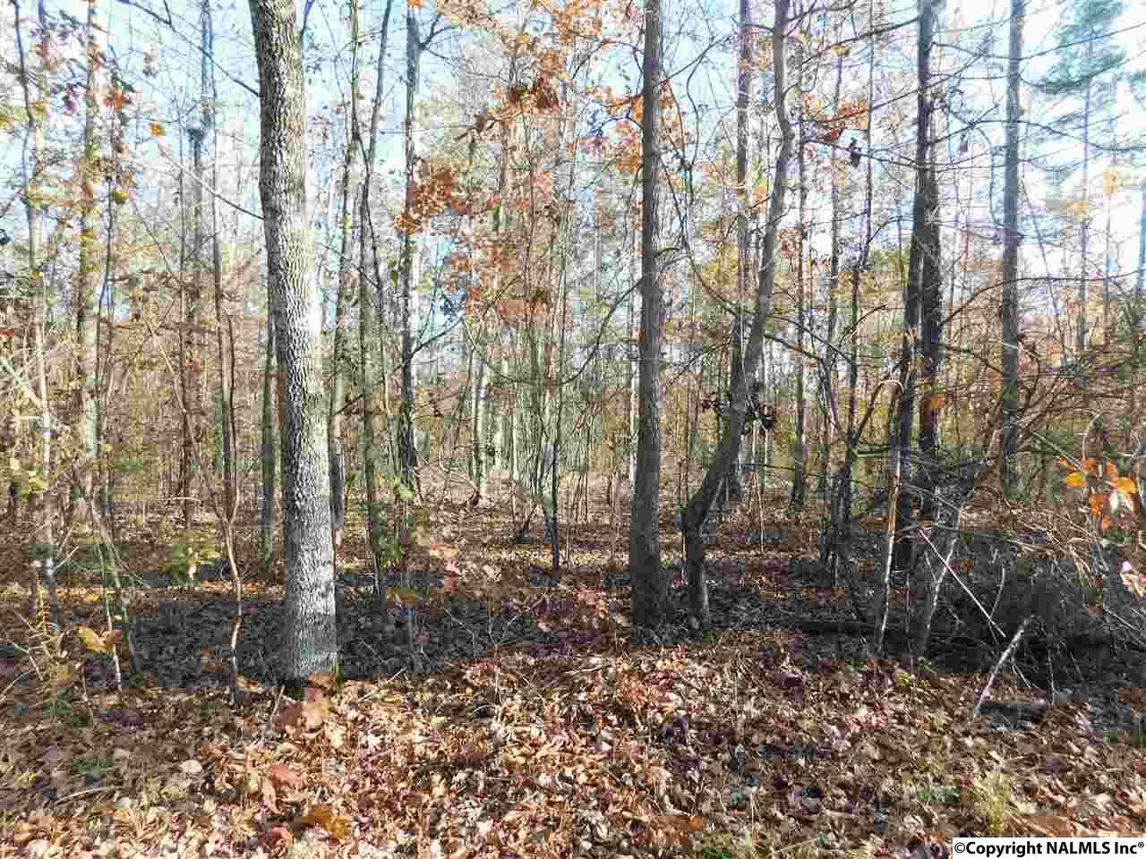 Lot 13 County Road 667 - Photo 1
