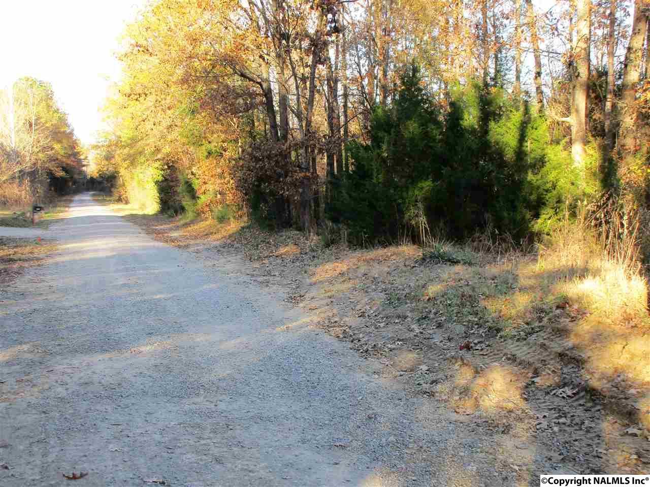 0 County Road 141 - Photo 1