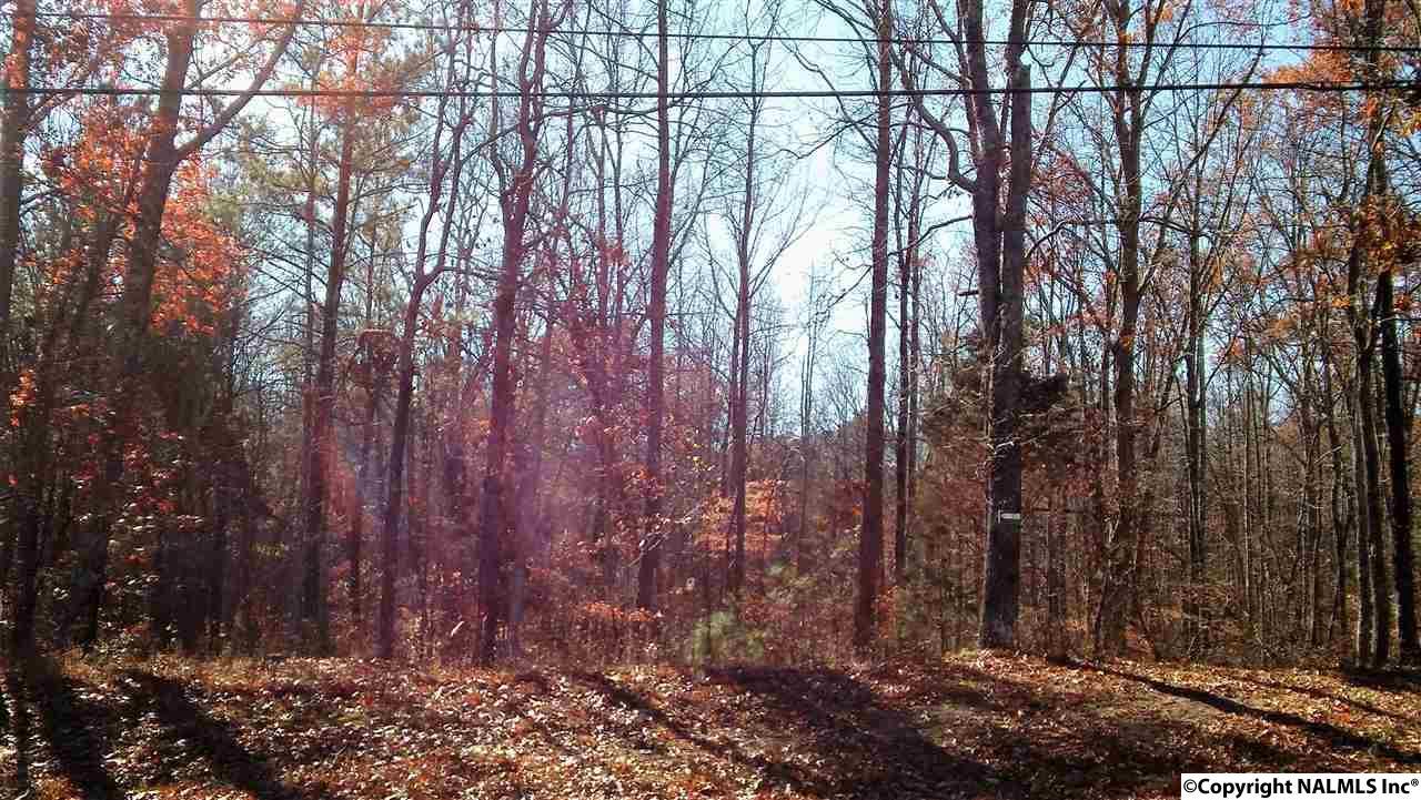 Range Road - Photo 1 Range Road - Photo 1