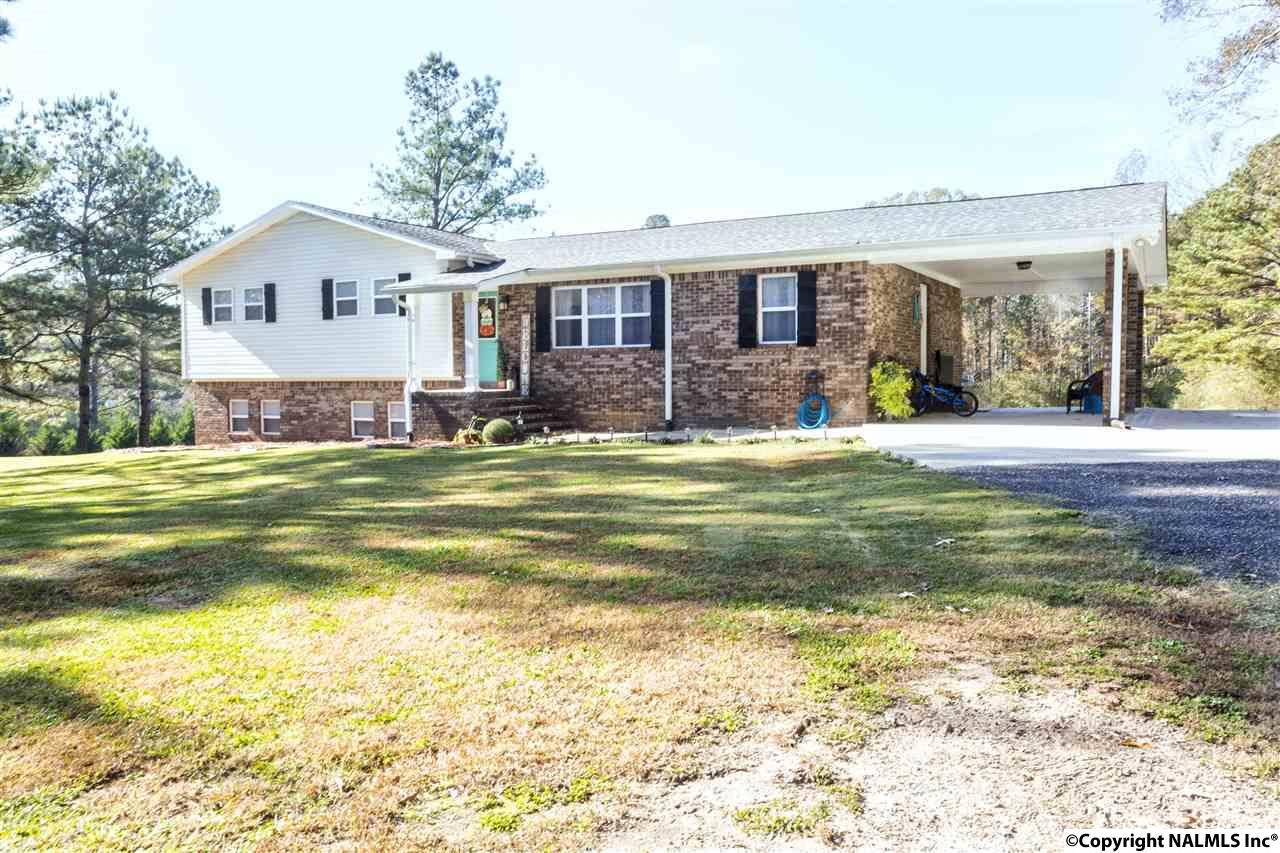 162 Highway 433 - Photo 1