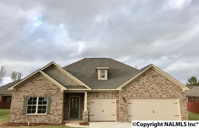 7906 Gabriela Drive - Photo 1