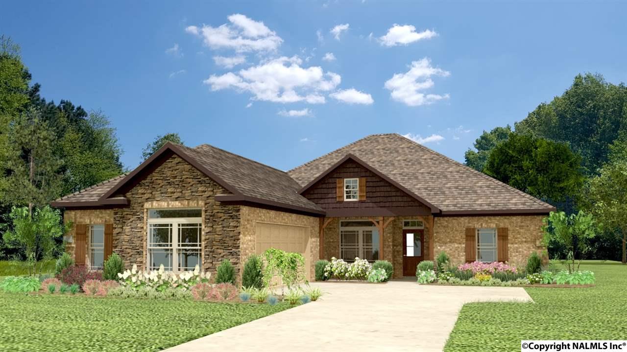105 Lindsey Cash Drive - Photo 1