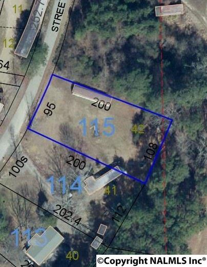 Lot 42 County Road 40 - Photo 1