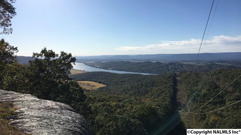 3200 County Road 131 - Photo 1