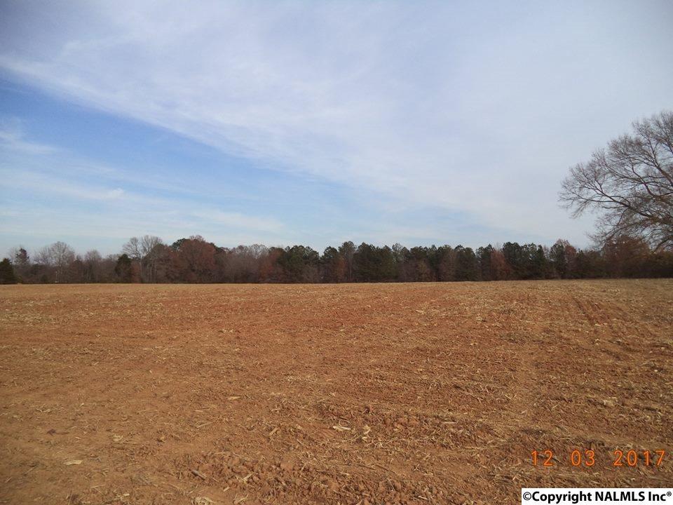 0 Manley Road - Photo 1