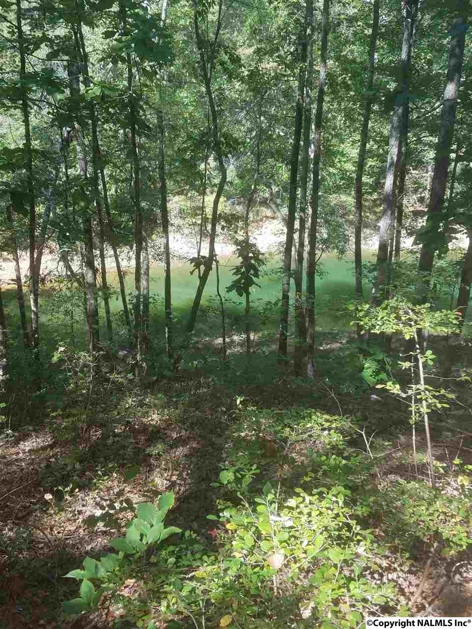 Lot 5 Blue Water Pointe Drive - Photo 1