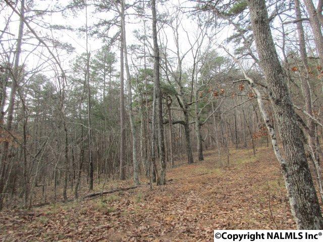 0 Owens Switch Road - Photo 1