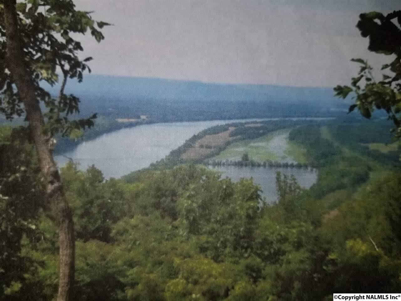 010 County Road 766 - Photo 1