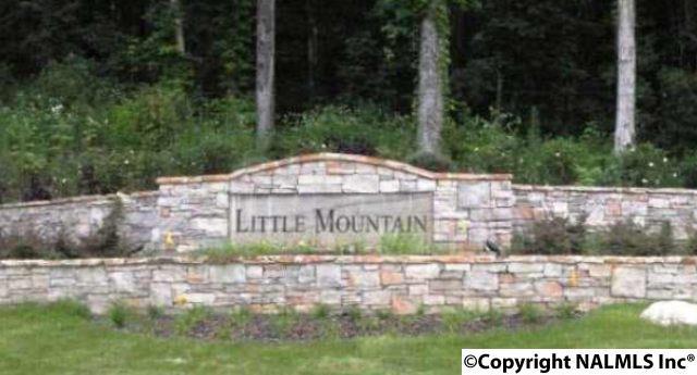 7101 Ridge Crest Road - Photo 1