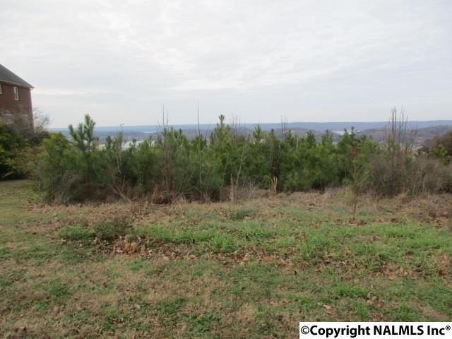 0 Ridgefield Circle - Photo 1