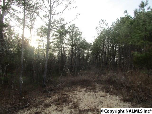 1421 Briarcliff Road - Photo 1