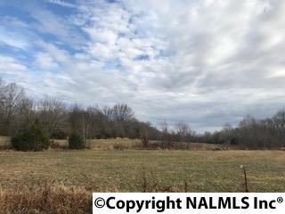 0 Everett Jones Road - Photo 1