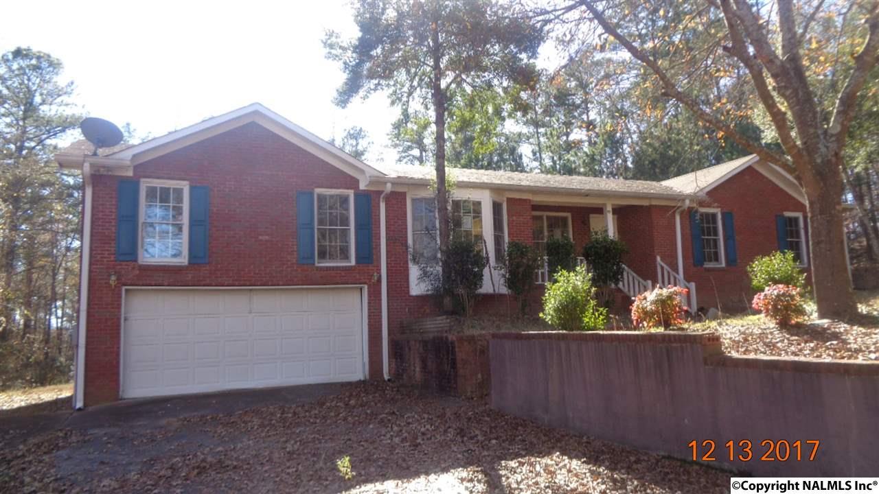 85 County Road 453 - Photo 1