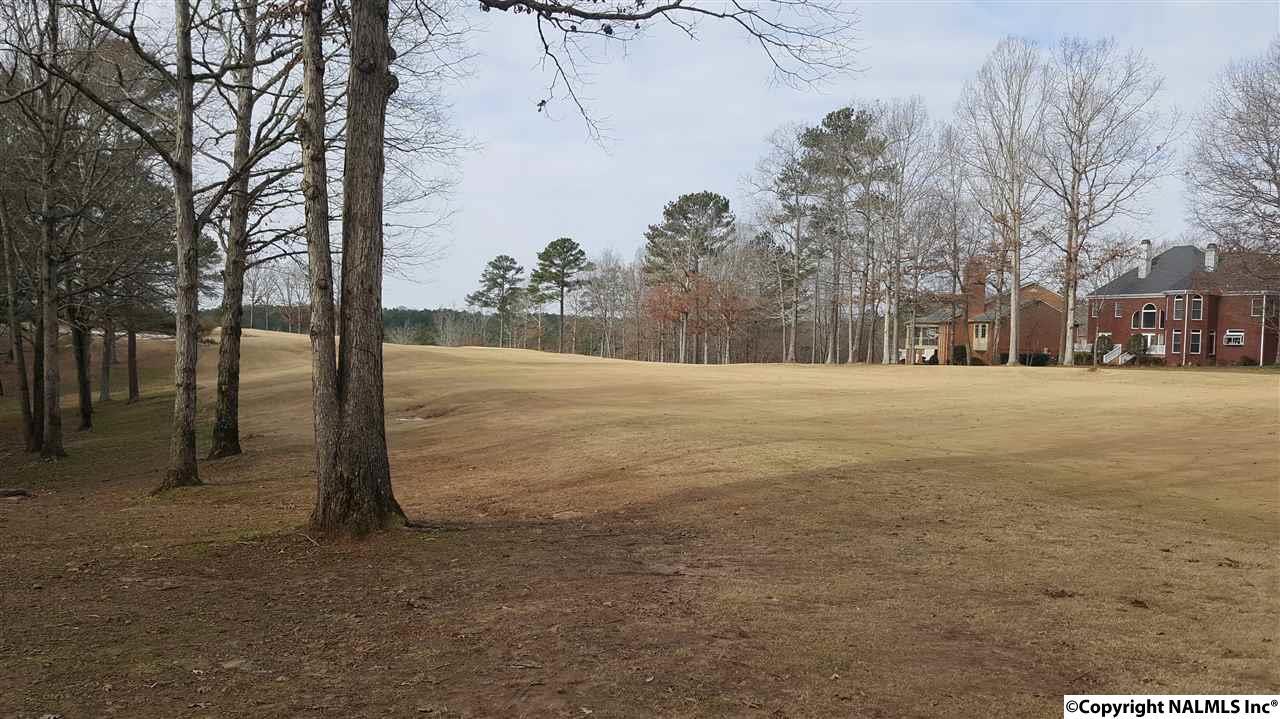 0 Cherokee Ridge Drive - Photo 1
