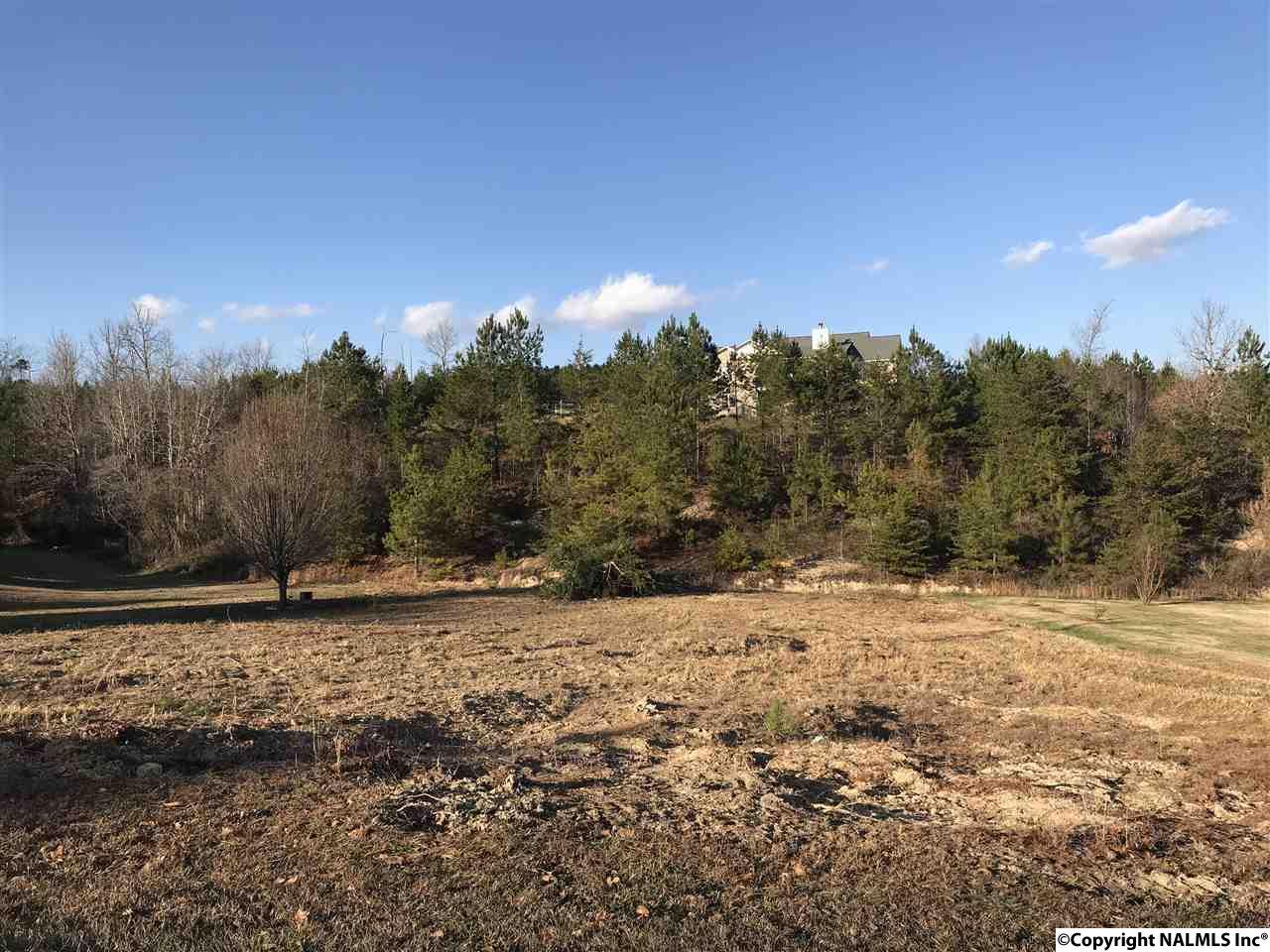 Lot 11A Landon Lane - Photo 1