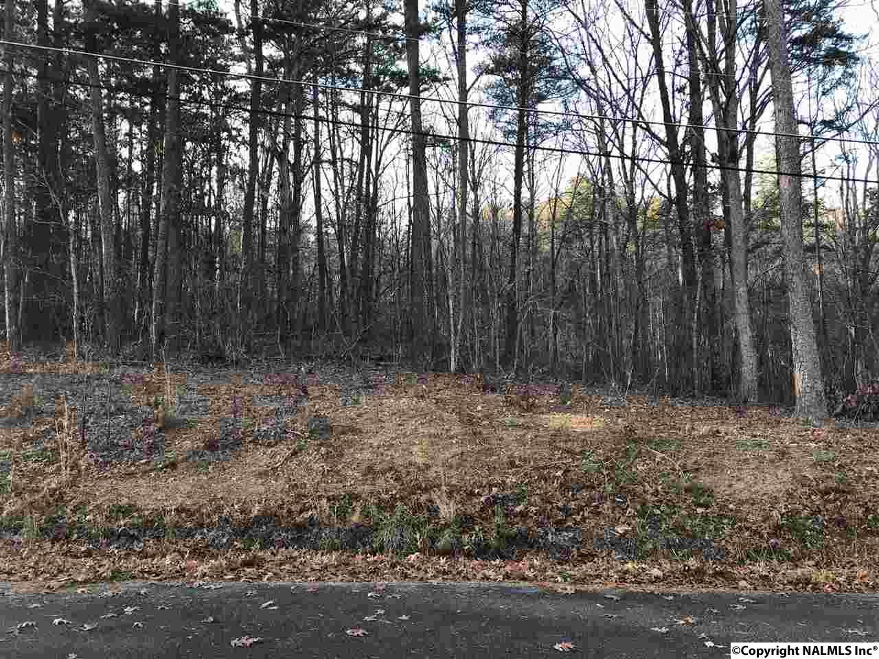Lynn Drive - Photo 1