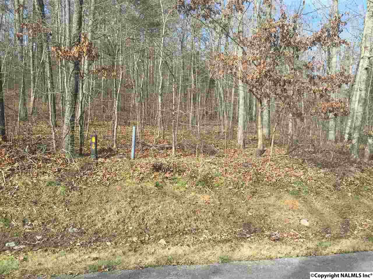 25 Timberlake Drive - Photo 1