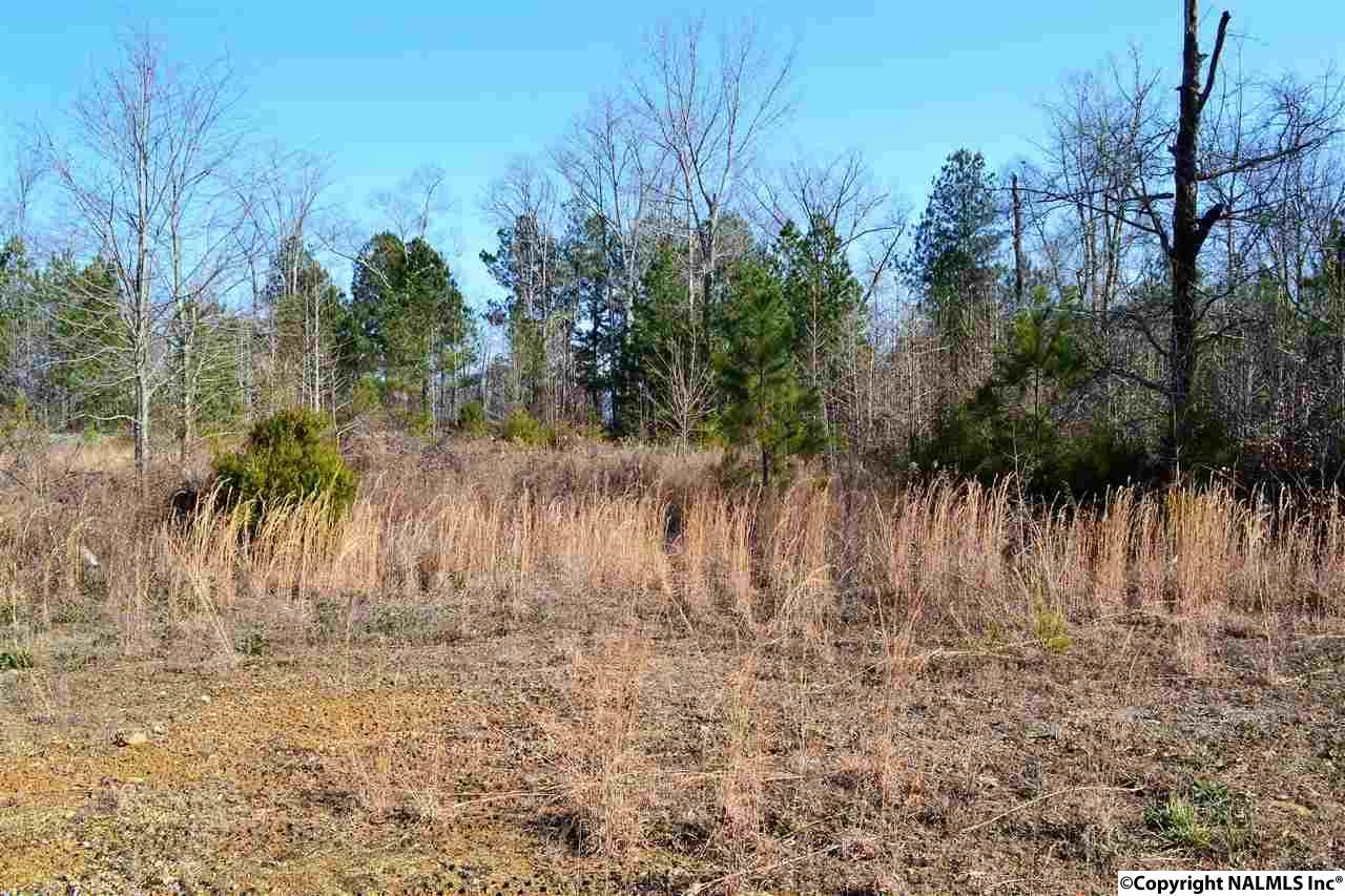 15151 Blake Drive - Photo 1