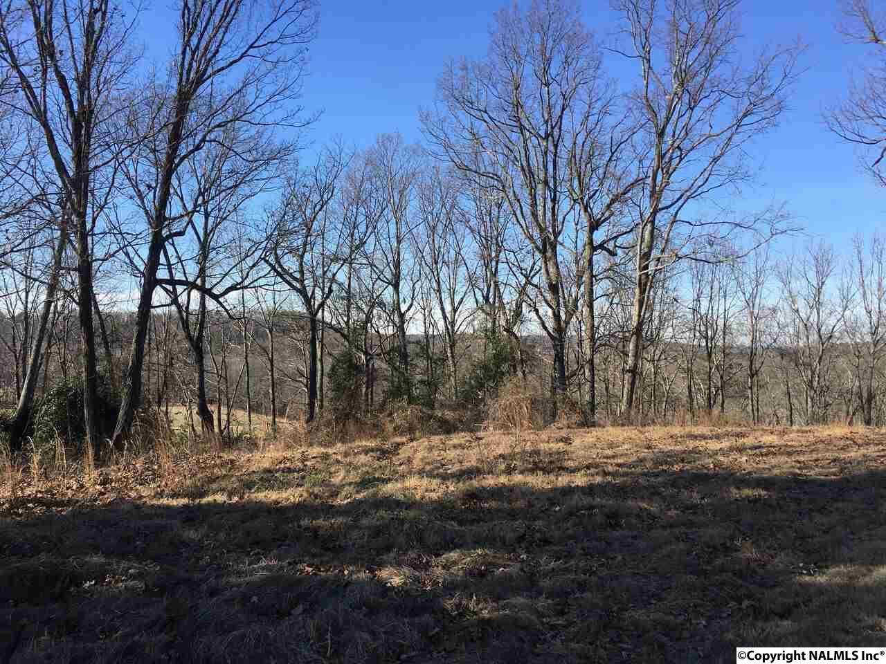 000 County Road 514 - Photo 1