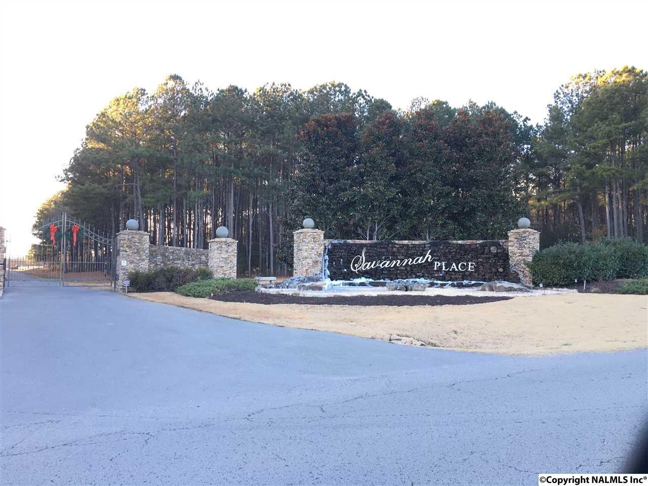 255 Worthington Lane - Photo 1