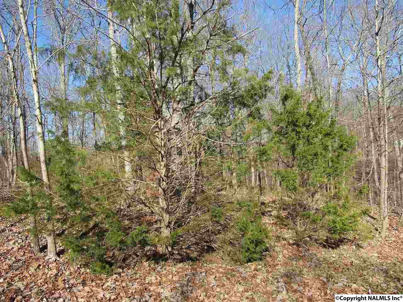 0 Winterview Drive - Photo 1