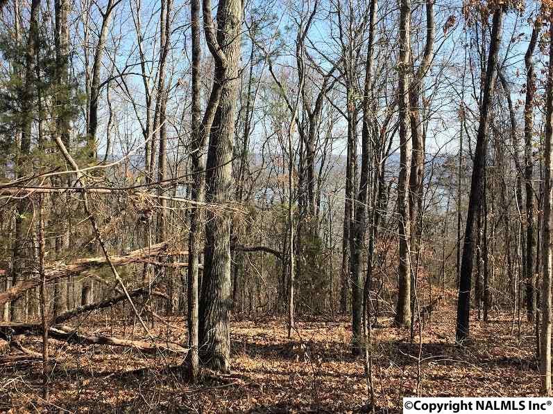 1 Baker Mountain Road - Photo 1