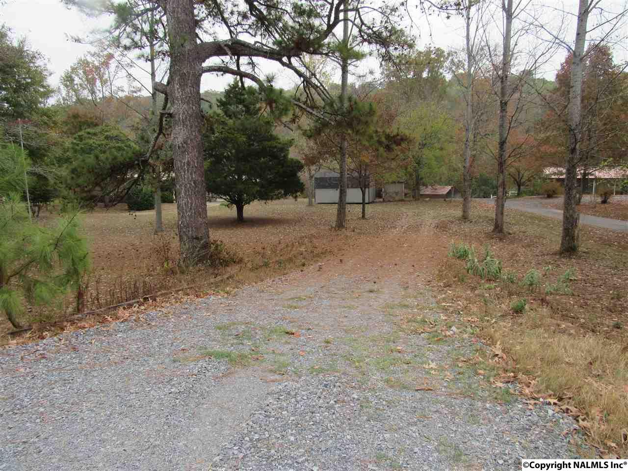 3520 Alabama Highway 79 - Photo 1