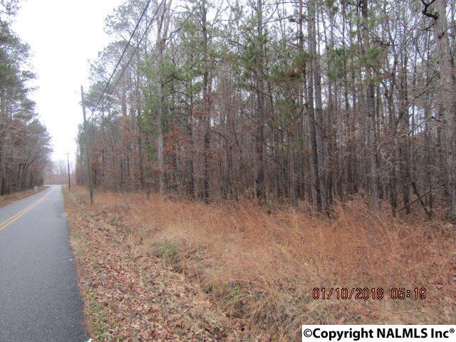 Black Road - Photo 1