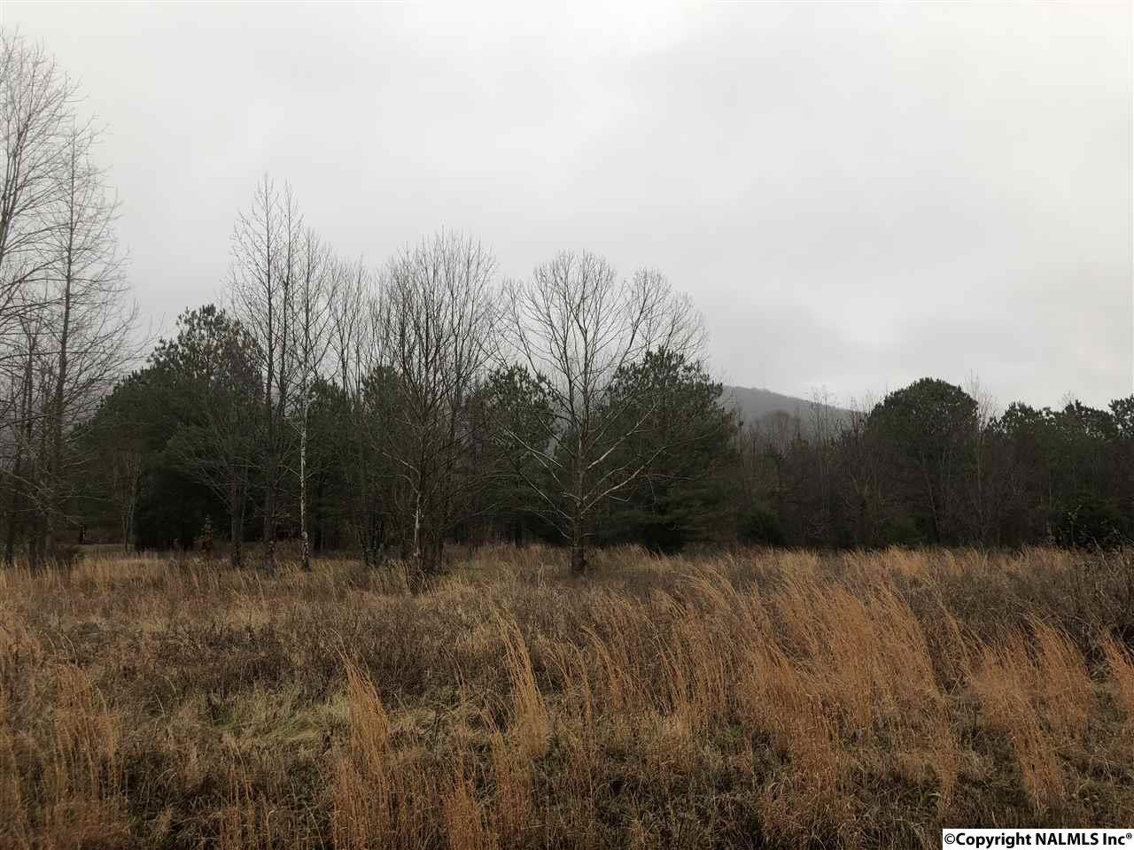 1143 Killingsworth Cove Road - Photo 1