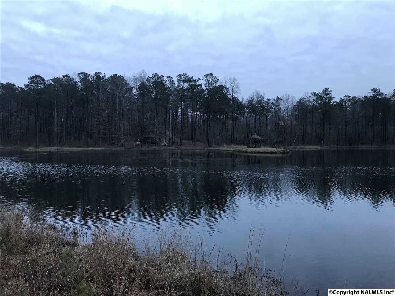 Lot 23 HL County Road 103 - Photo 1