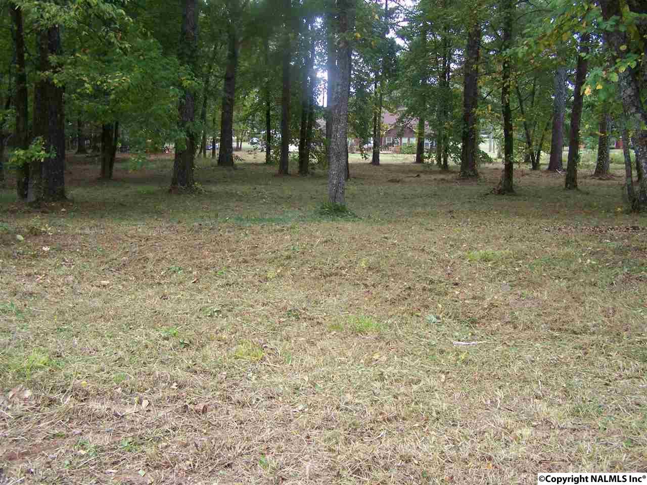 000 County Road 445 - Photo 1