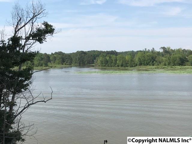 0 River Road - Photo 1