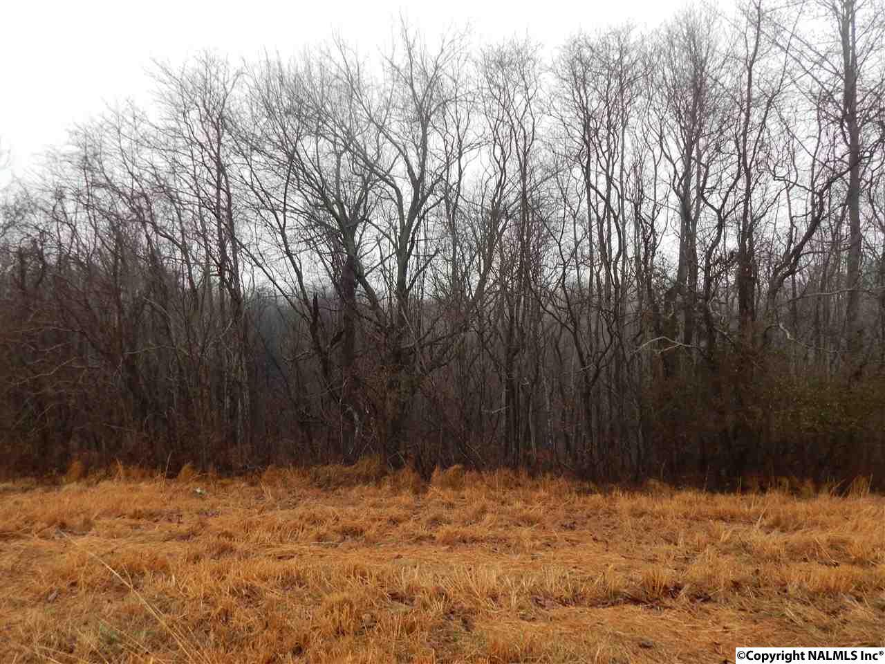1225 Shelbyville Hwy - Photo 1