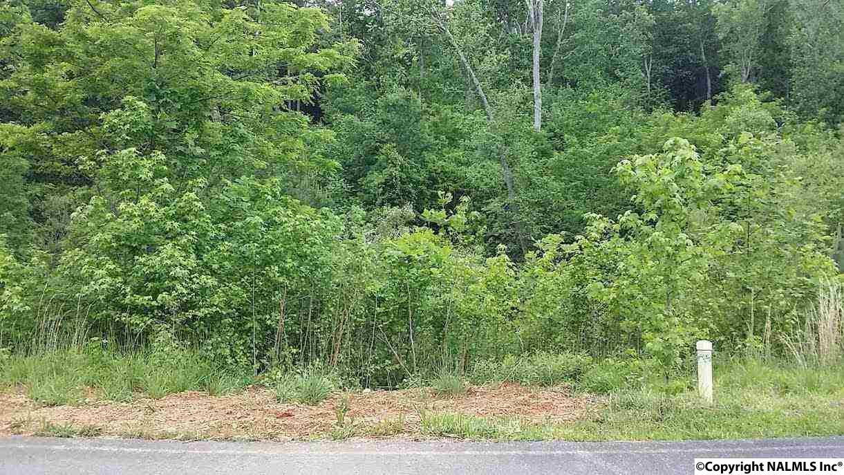 164 Lookout Mountain Drive - Photo 1