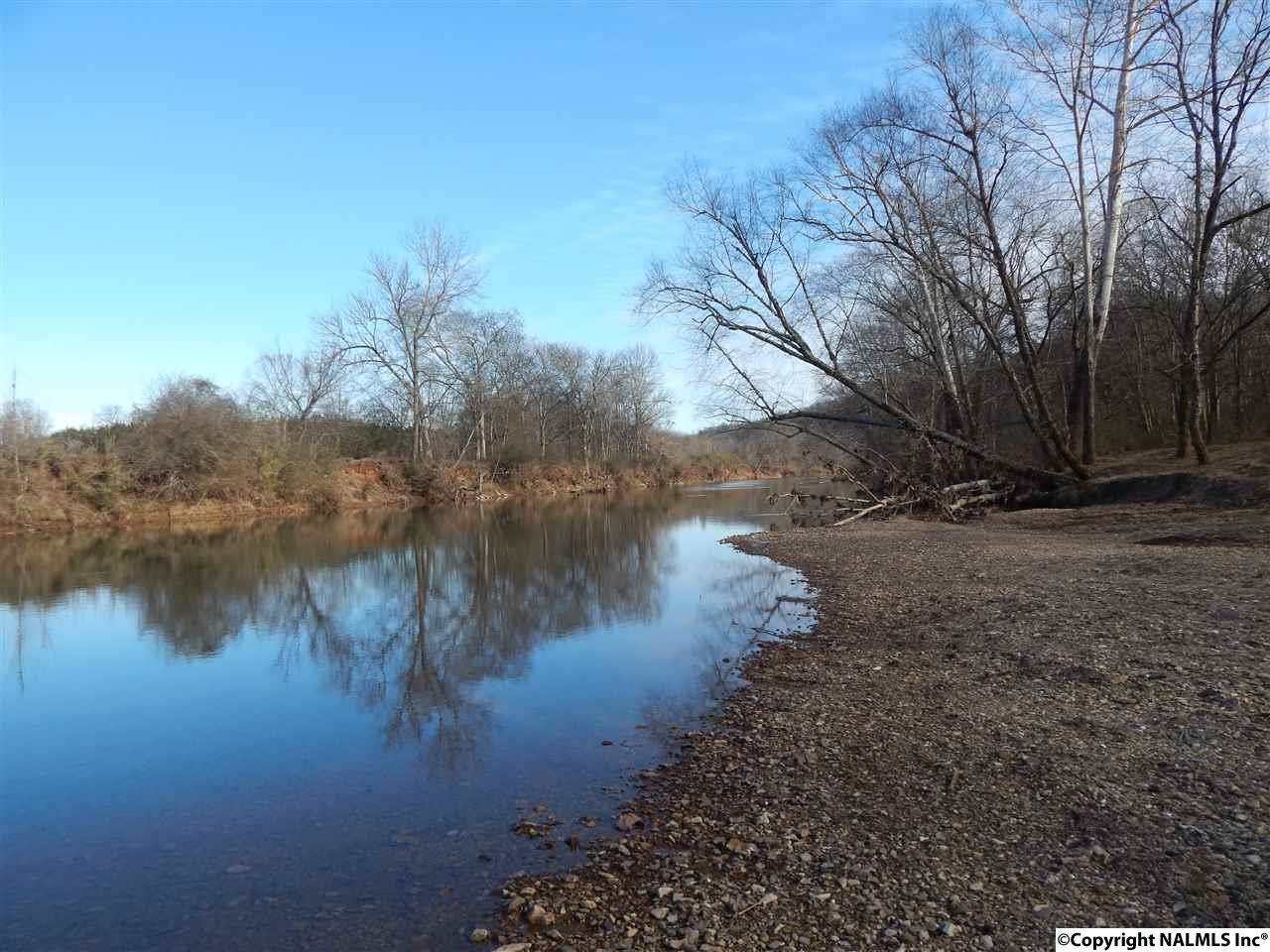 000 Tidwell Hollow Road - Photo 1