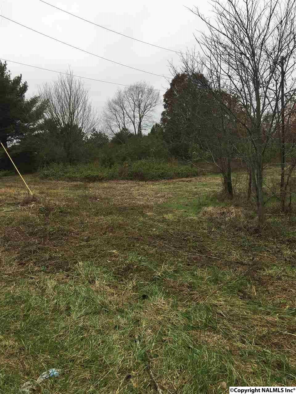 0 Wells Road - Photo 1