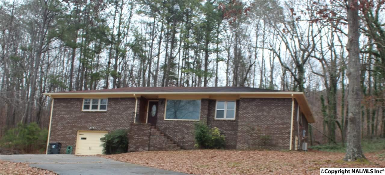 1074 Lakemont Drive - Photo 1