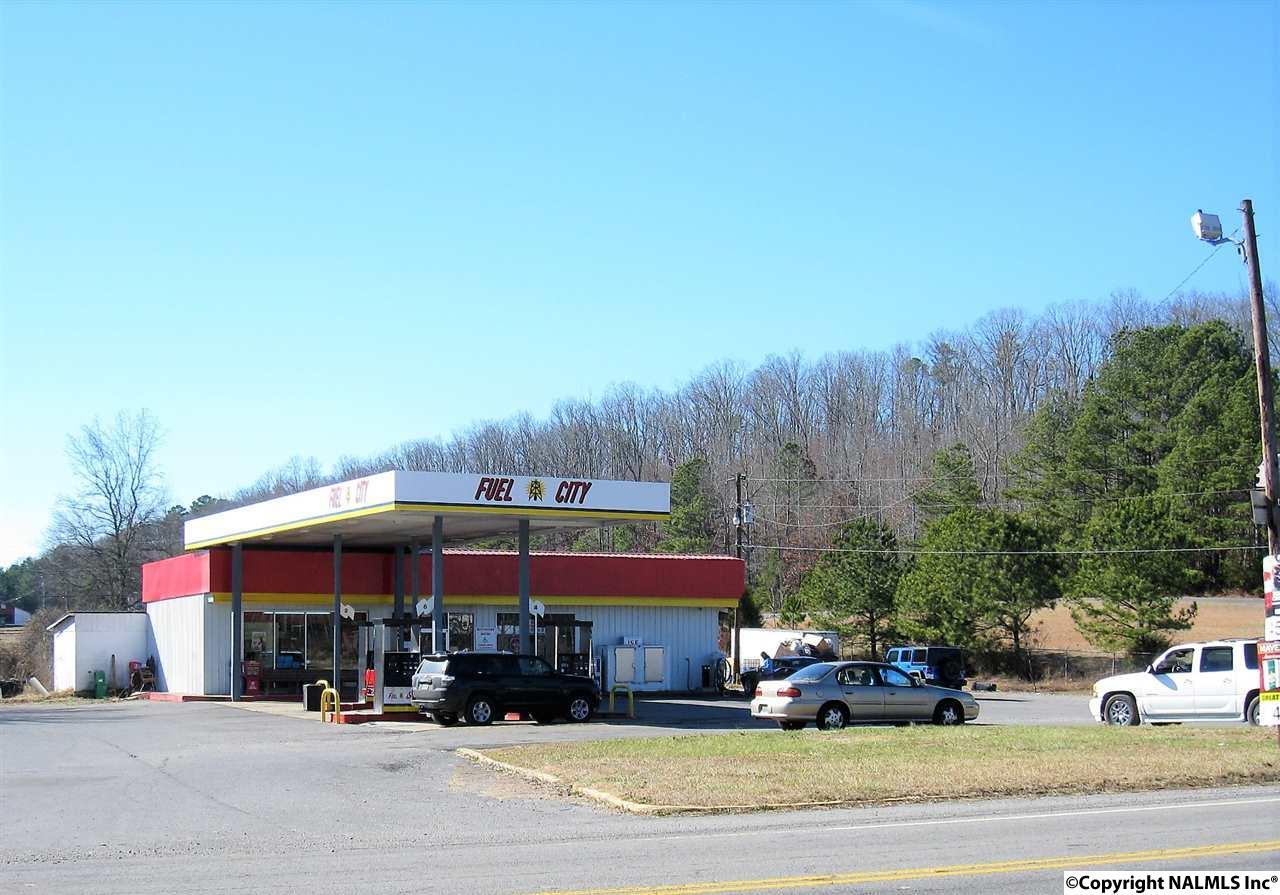 11877 Alabama Highway 117 - Photo 1