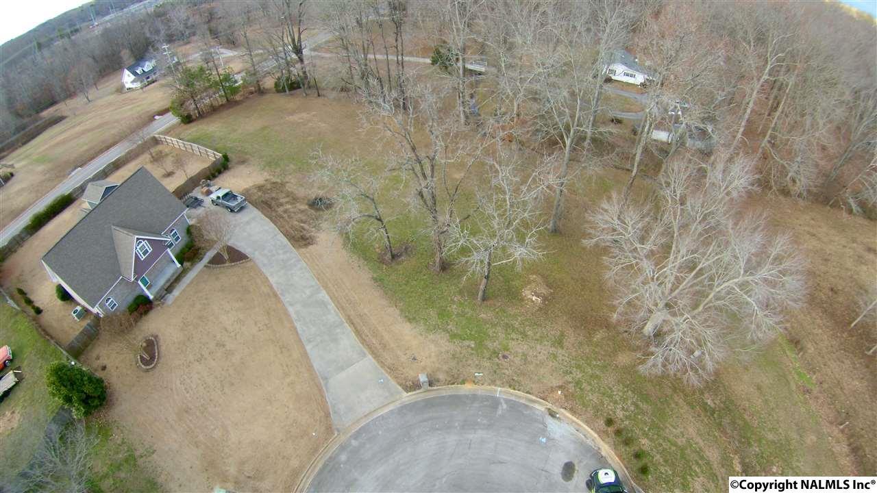 0 Mahogany Drive - Photo 1