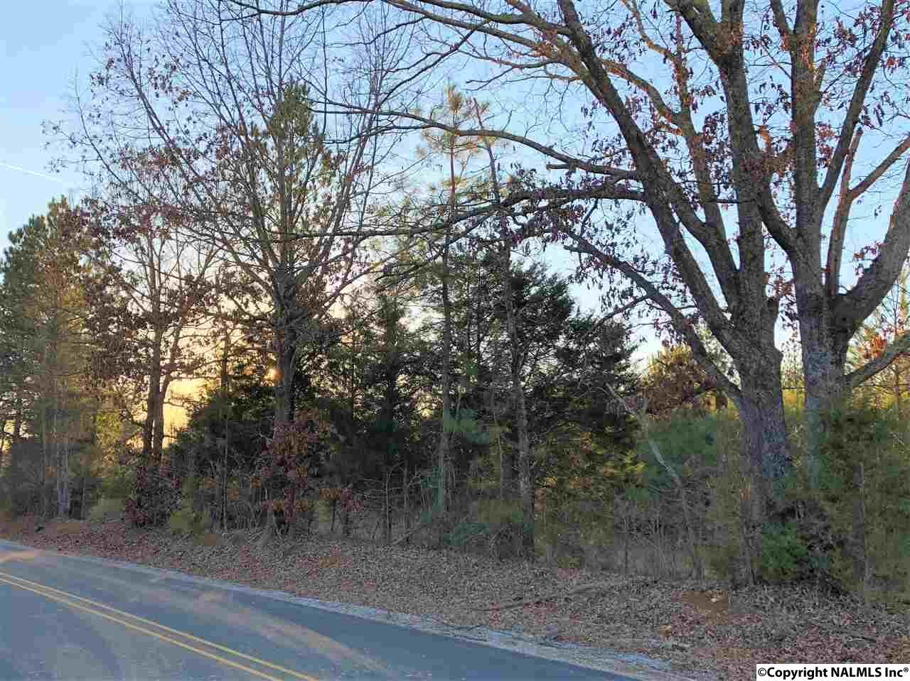0 Bridge Road - Photo 1