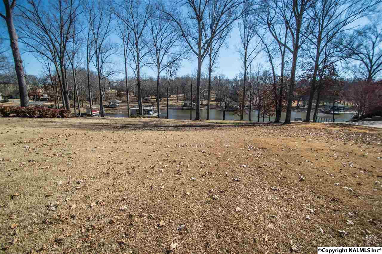 Lot 18 Brigadoon Drive - Photo 1