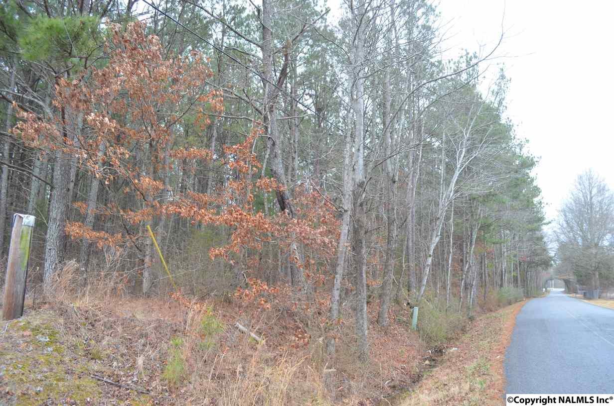 000 Green Briar Cove Road - Photo 1