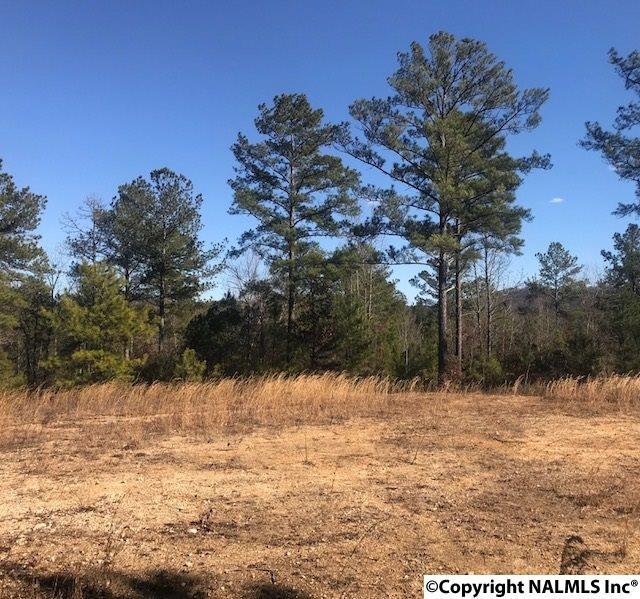 Mcclendon Road - Photo 1