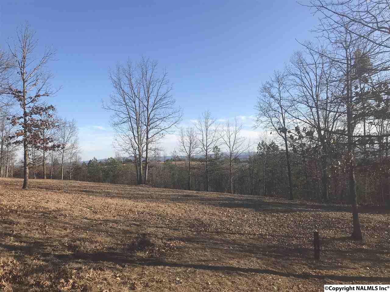 42 County Road 1016 - Photo 1
