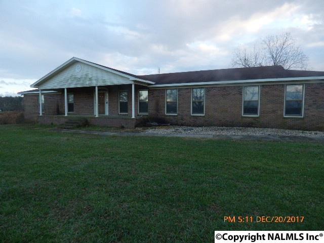 451 Old Solitude Road - Photo 1