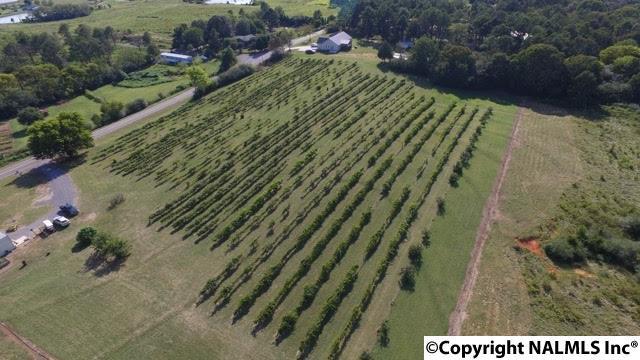 1295 Martling Gap Road - Photo 1