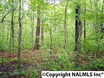 00 County Road 647 - Photo 1